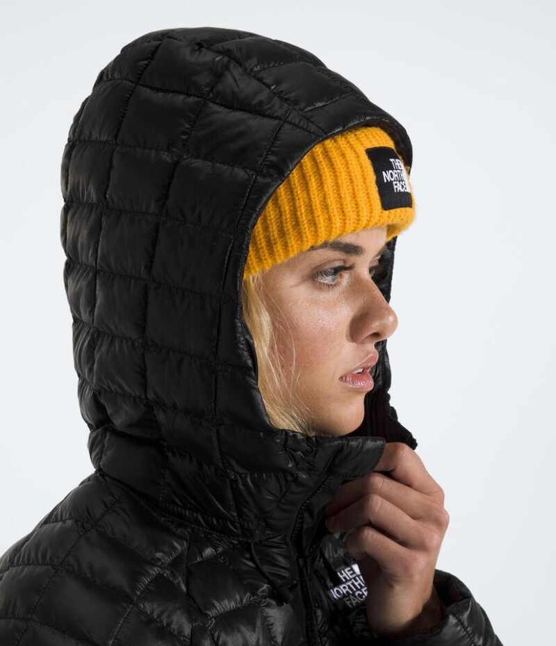 Campera parka Thermoball Tnf Black