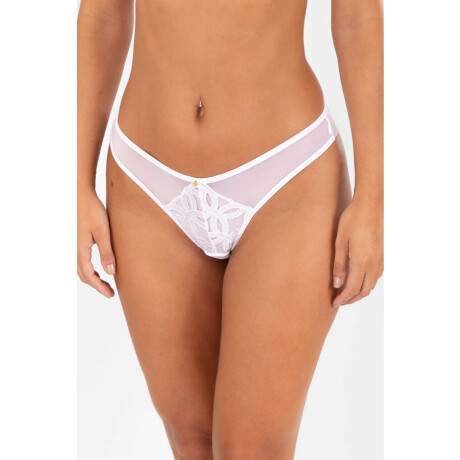 Colaless sable Blanco