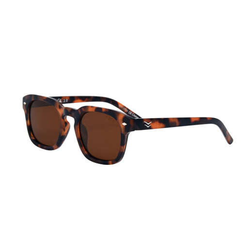 Lentes I-Sea Blair 2.0 - Tortoise Lentes I-Sea Blair 2.0 - Tortoise