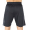 SHORT MEN POLY EVERLAST STRIPE 7 CH S BK