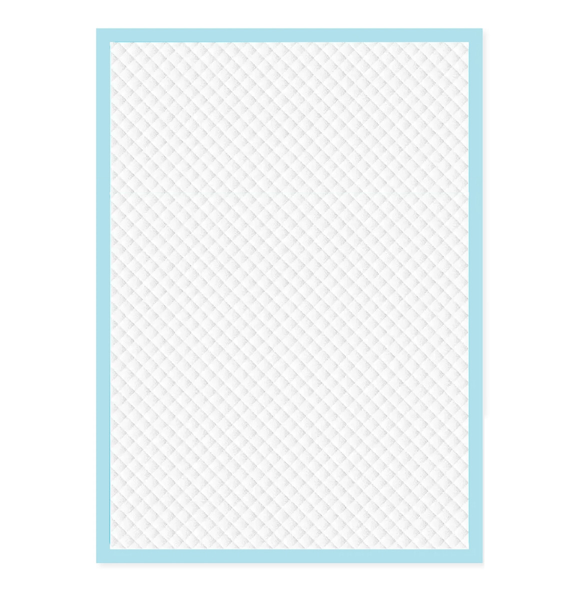 Pañal Entrenamiento Mascotas Absorbentes XL X40 Unidades - Blanco/celeste 