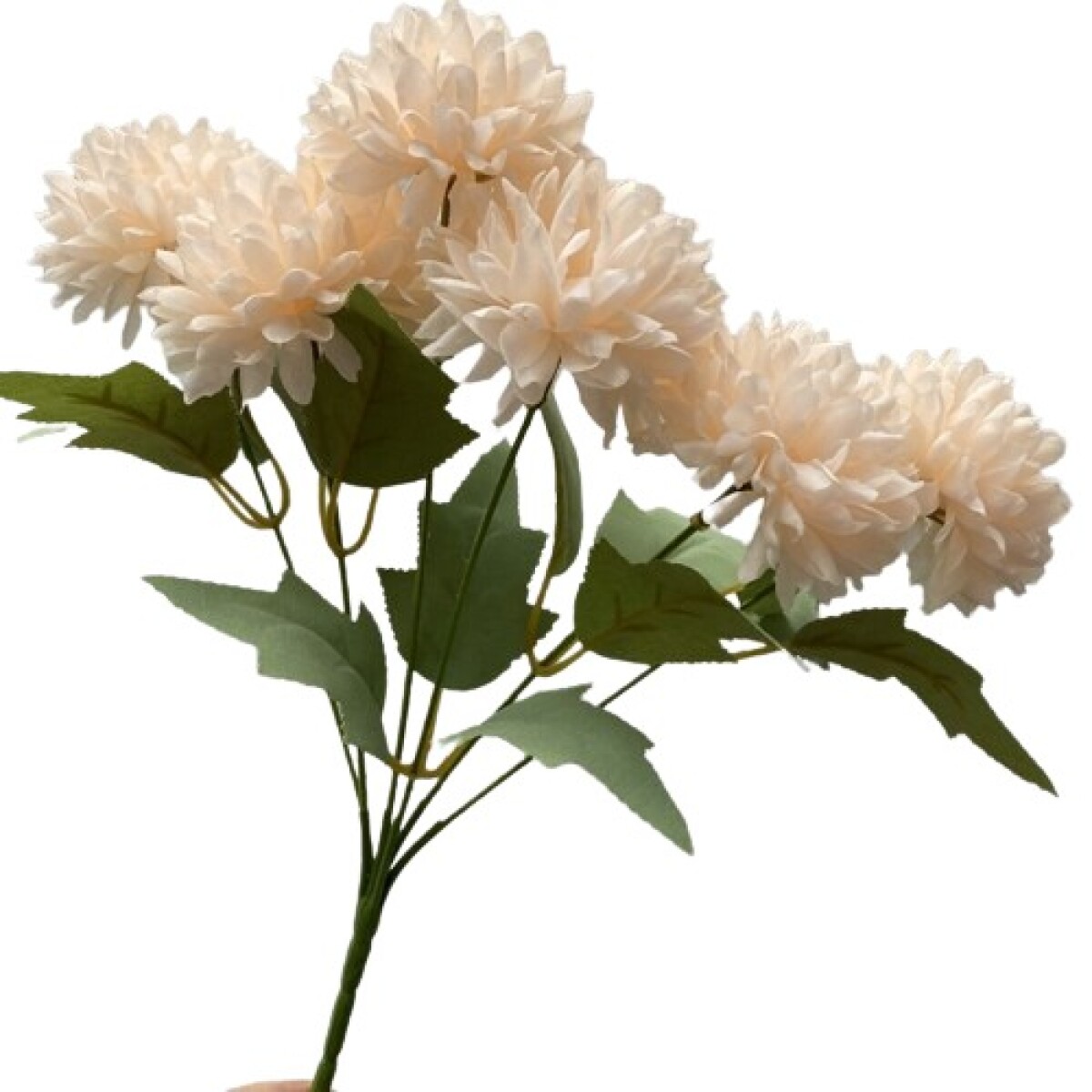 Ramo Copete Seis Flores - Crema 