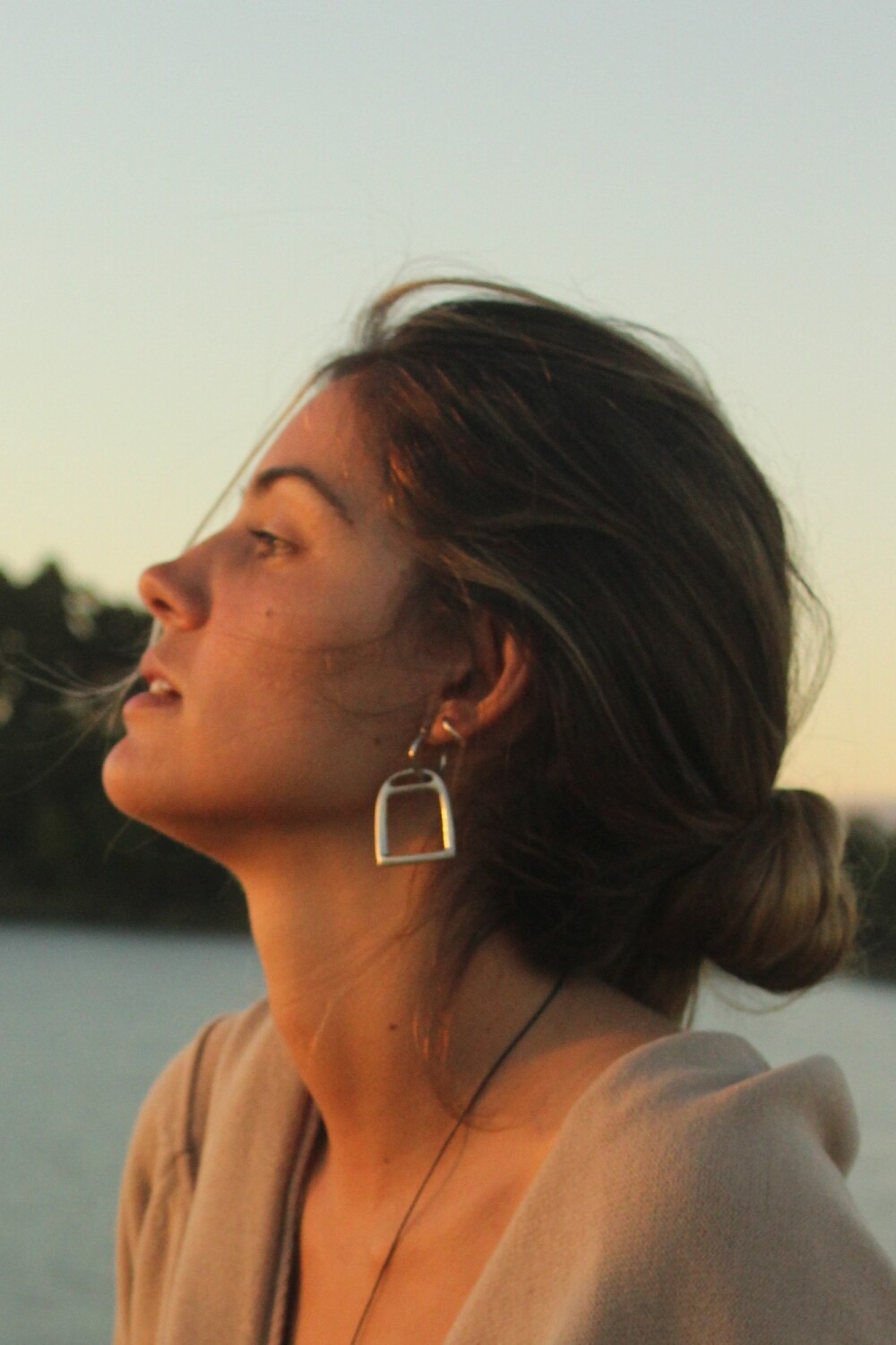 Estribo Earrings Plateado