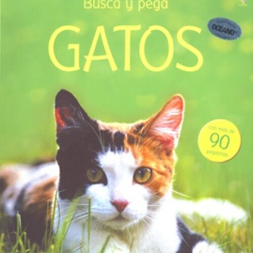 Busca Y Pega Gatos Busca Y Pega Gatos