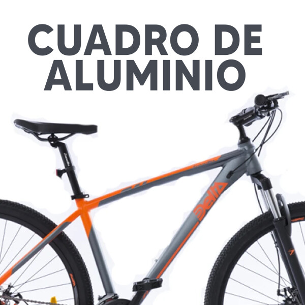 Bicicleta Zanella Delta S 2.40 X 29" BICI ZANELLA DELTA R29 T16 GR/NA 990824