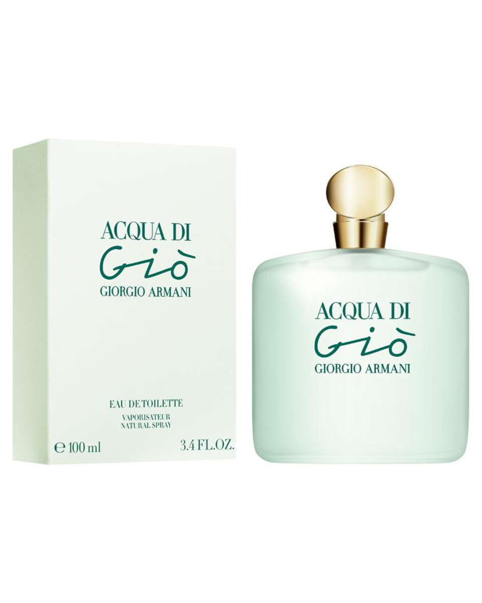 Perfume Giorgio Armani Acqua Di Gio Femme EDT 100ml Original 