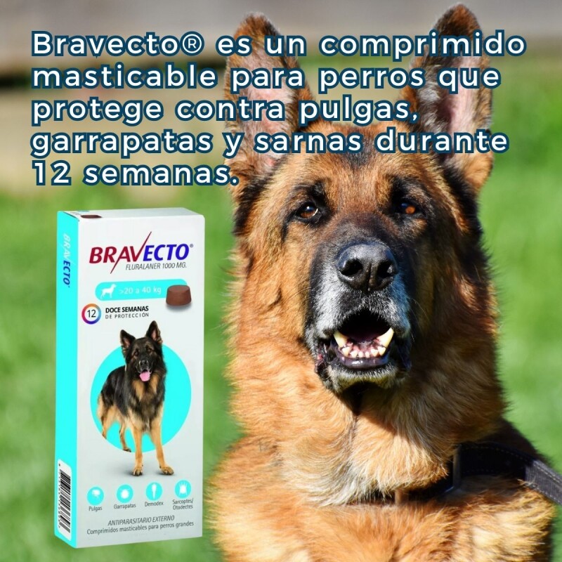 BRAVECTO ANTIPULGAS Y ANTIGARRAPATAS 20 A 40 KG