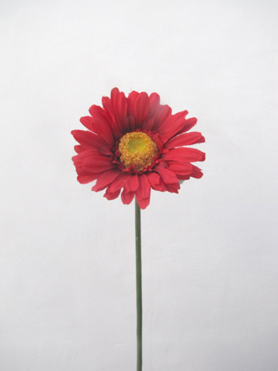 GERBERA VARA SIMPLE 56CM RED 