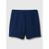 INTL FASHION LOGO SHORTS PANGEA BLUE