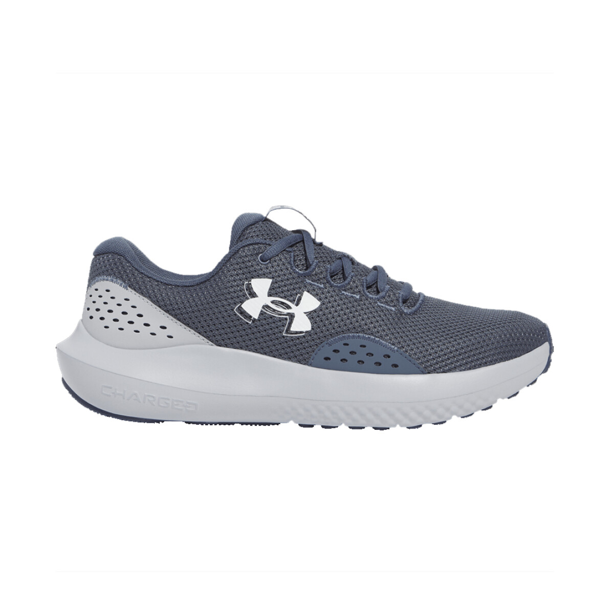 CHAMPIONES CHARGED SURGE 4 - UNDER ARMOUR 