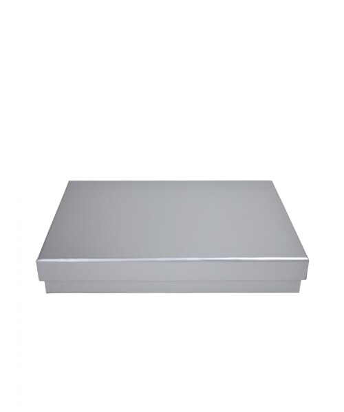 Caja Rigida 30 x 39,5 x 8 PLATA