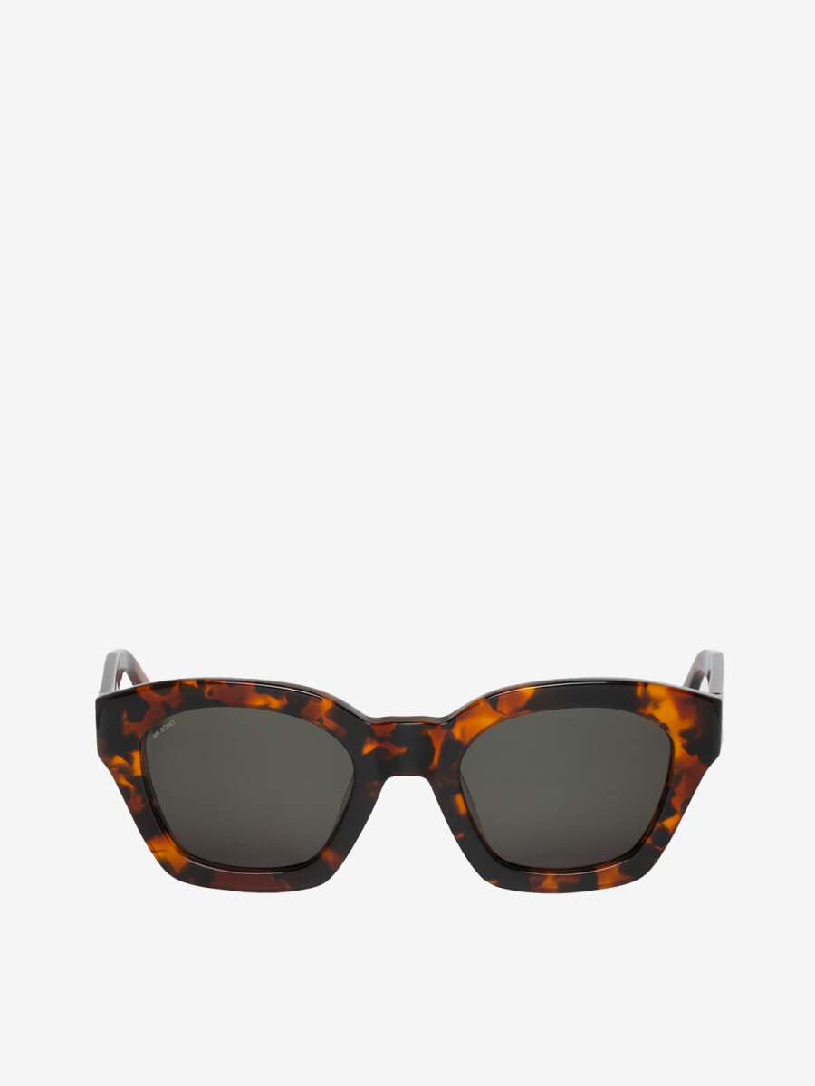 Barrosa Cheetah Tortoise 