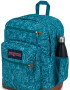 MOCHILA JANSPORT COOL STUDENT DELIGHTFUL DAISIES GREEN