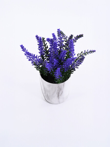 LAVANDA CON MACETA VERDE