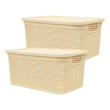 Set x2 Caja simil ratán 7,5 lts 31x21x14,7 cm BEIGE