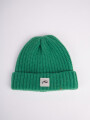 GORRO ALDER RUSTY Verde