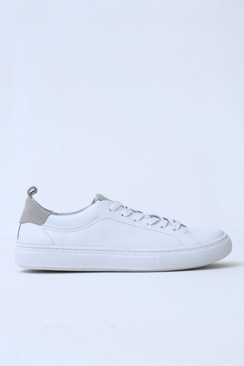 Vezi White