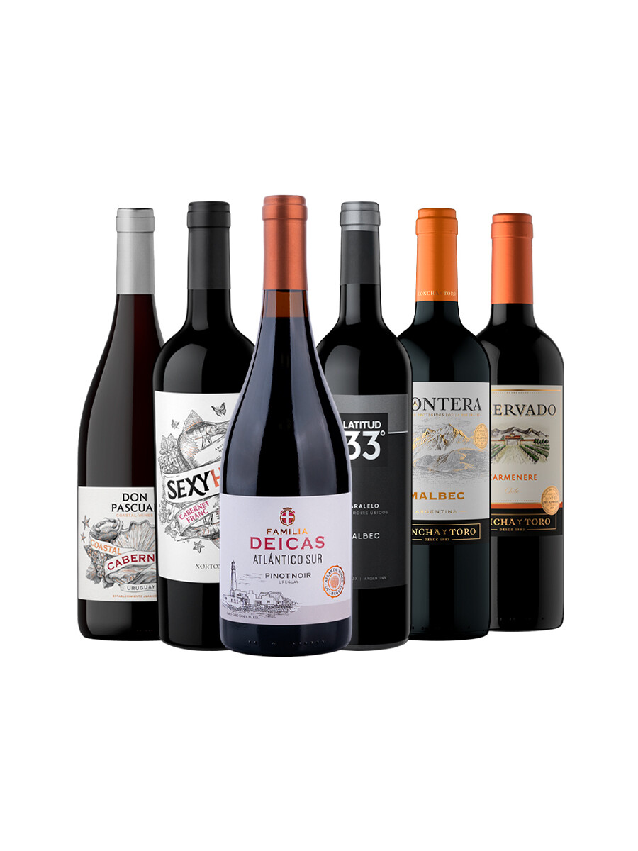 Pack Bacán Selección Capitulo Uno x6 vinos Pack Bacán Selección Capitulo Uno x6 vinos