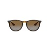 Ray Ban Rb4171 Erika 710/t5