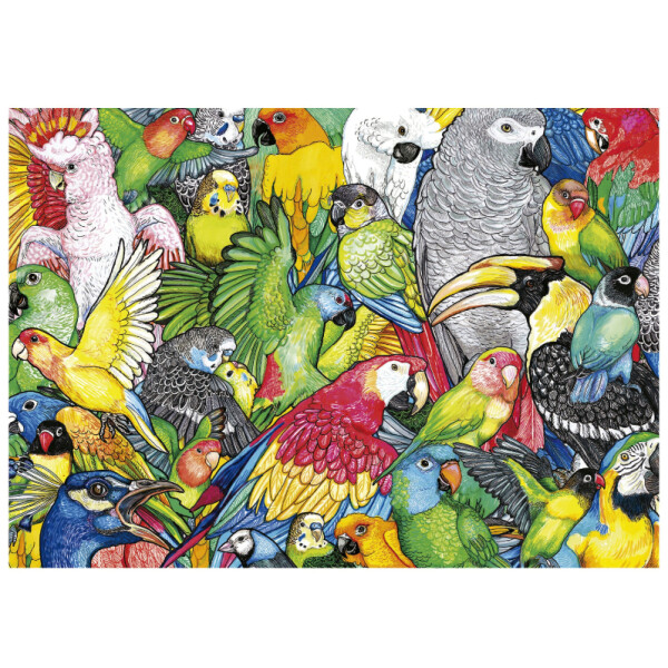 Rompecabeza Puzzle Educa 500 Piezas Loros Aves Collage Rompecabeza Puzzle Educa 500 Piezas Loros Aves Collage