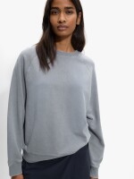 Sudadera De Algodón Con Bordado gris