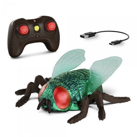 Mosca trepadora Mosca trepadora