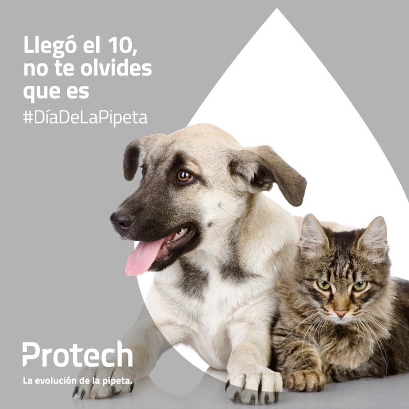 PROTECH PIPETA ANTIPULGAS Y GARRAPATAS CON ACCIÓN AMBIENTAL PARA PERROS DE 26 A 40 KG