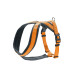 ARNÉS LONDON COMFORT HUNTER XS-S NARANJA ARNÉS LONDON COMFORT HUNTER XS-S NARANJA