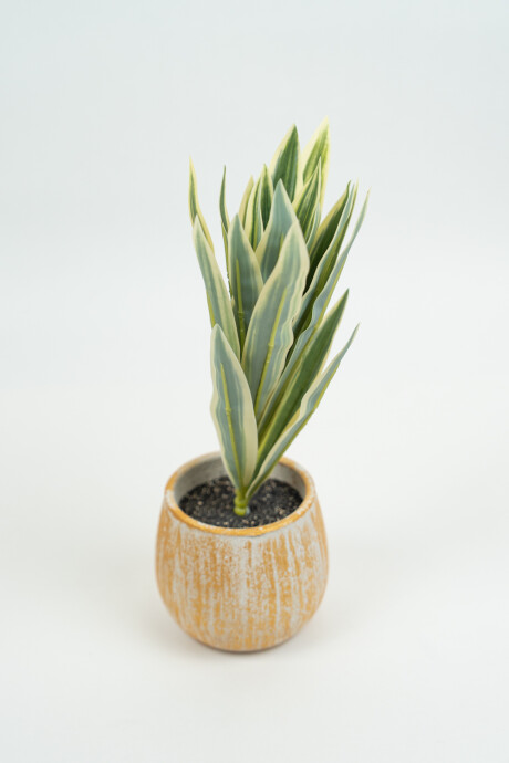 Planta Verdia Mix Color Unico