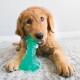 Kong Squeezz Dental Bone Kong Squeezz Dental Bone