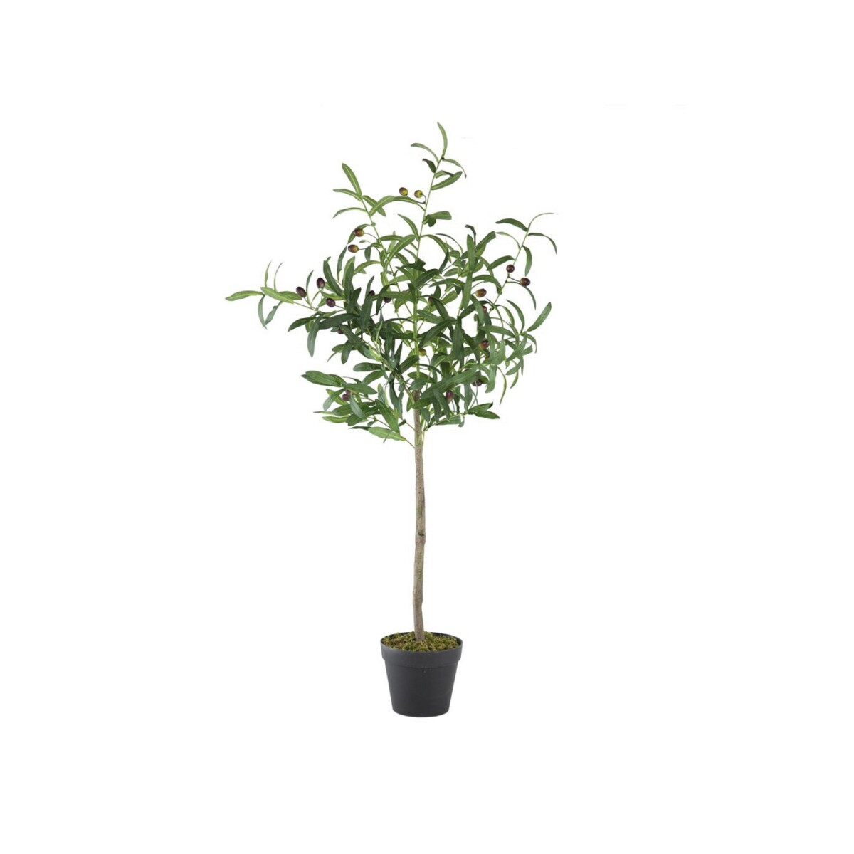 ÁRBOL OLIVO CON FRUTA 44x40x108CM 
