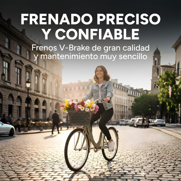 Bicicleta BDF Paseo Urbana Rodado 26 " Canasto Freno V-Brake Gris 1