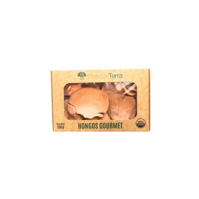 HONGOS GIRGOLAS ROSADAS BOSQUE TERRA Hongos Girgolas Rosadas B Ter
