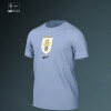 Remera Nike Celeste 2026 Remera Nike Celeste 2026