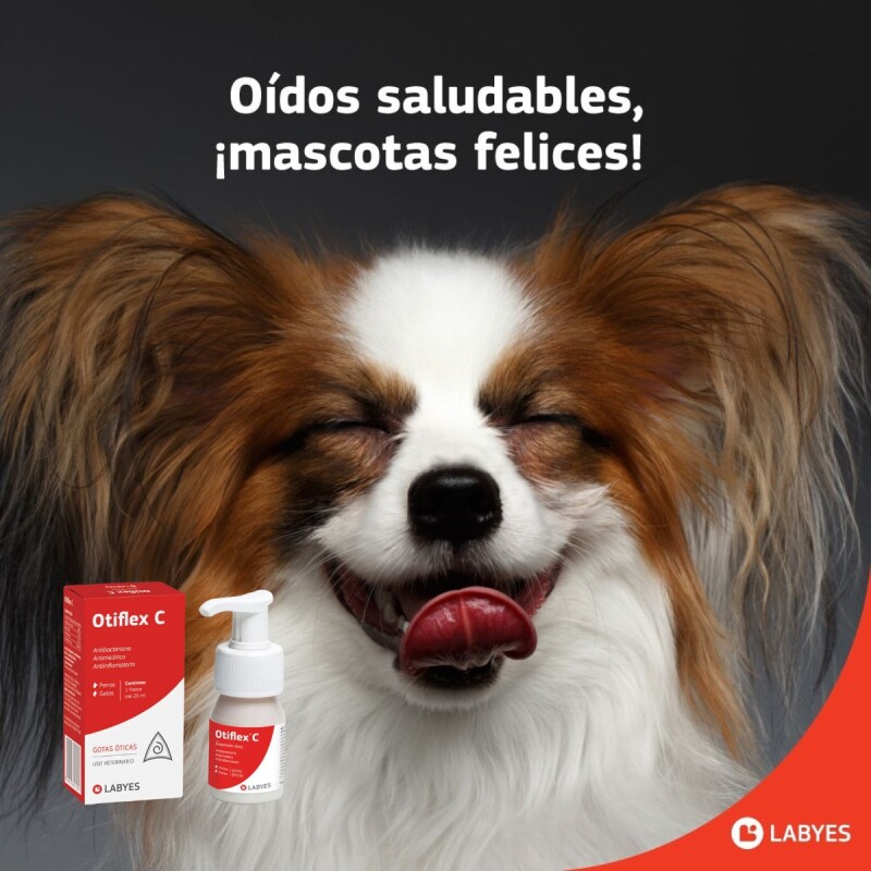 OTIFLEX C OTIFLEX C