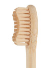 Cepillo dientes VIDJA 19cm Schima Cepillo dientes VIDJA 19cm Schima
