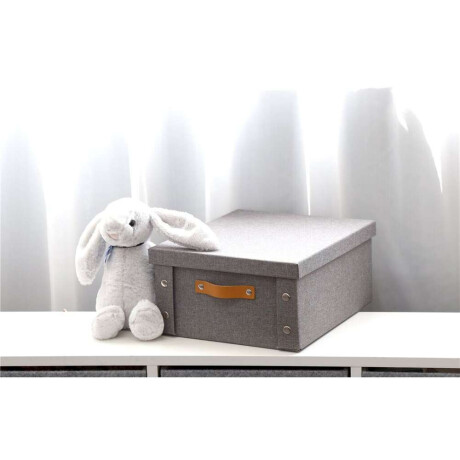 Caja Organizador C/Asa 26.5X31.5X14.5Cm Ext Tela Gris