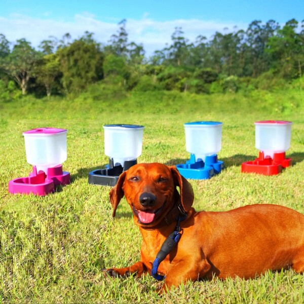 Comedero Automático Dispensador Alimento 8 Litros Mascotas Variante Color Rojo