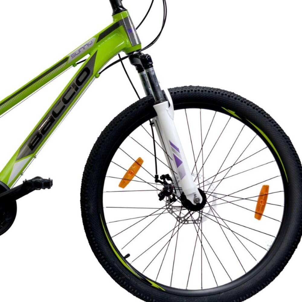 Bicicleta SUNNY LADY - Rodado 26 - Baccio Verde