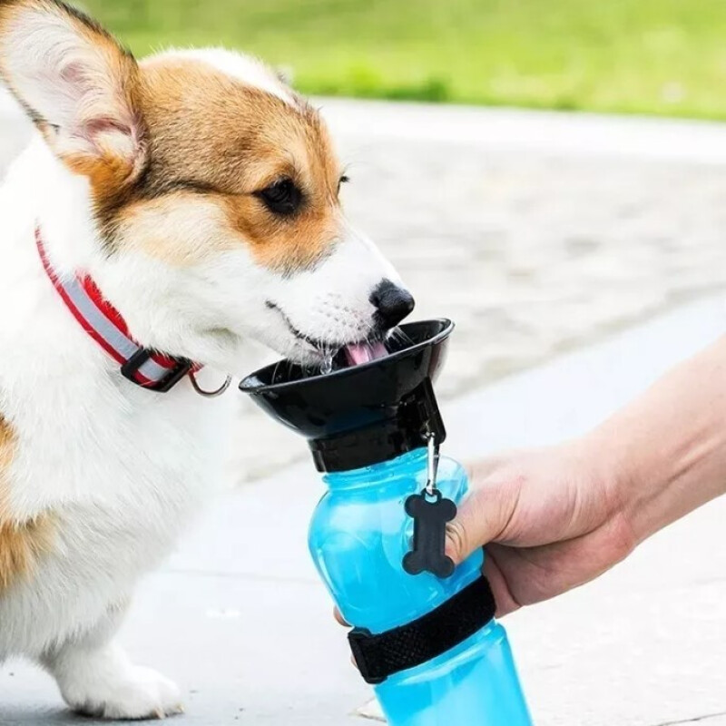 Botella Bebedero De Agua Para Mascotas Perros 580 Ml Botella Bebedero De Agua Para Mascotas Perros 580 Ml