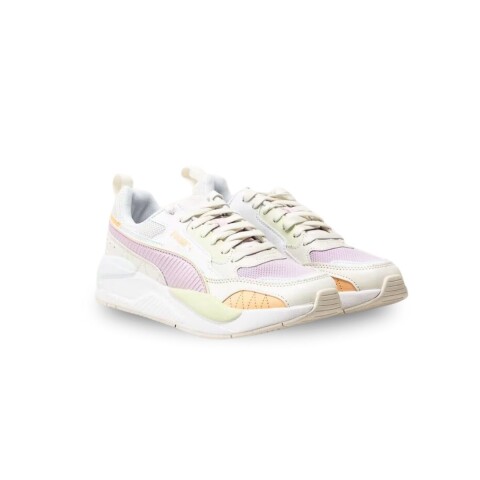 CHAMPION 36-41 MULTICOLOR