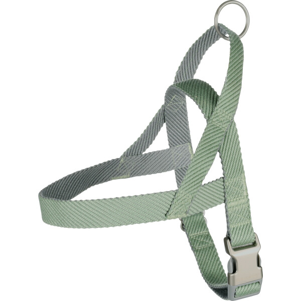 PERRO ARNES NOORS ELLY VERDE CLARO M 42CM 52-65CM 25MM PERRO ARNES NOORS ELLY VERDE CLARO M 42CM 52-65CM 25MM