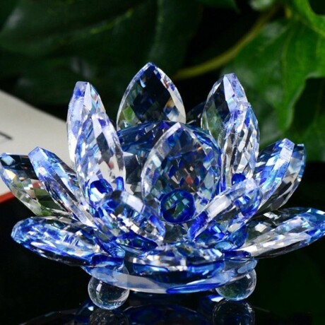 Flor De Loto Chica Azul