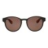 Lentes de Sol Chilli Beans Havaianas Marrón