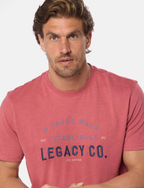 REMERA ESTAMPADA Bordo