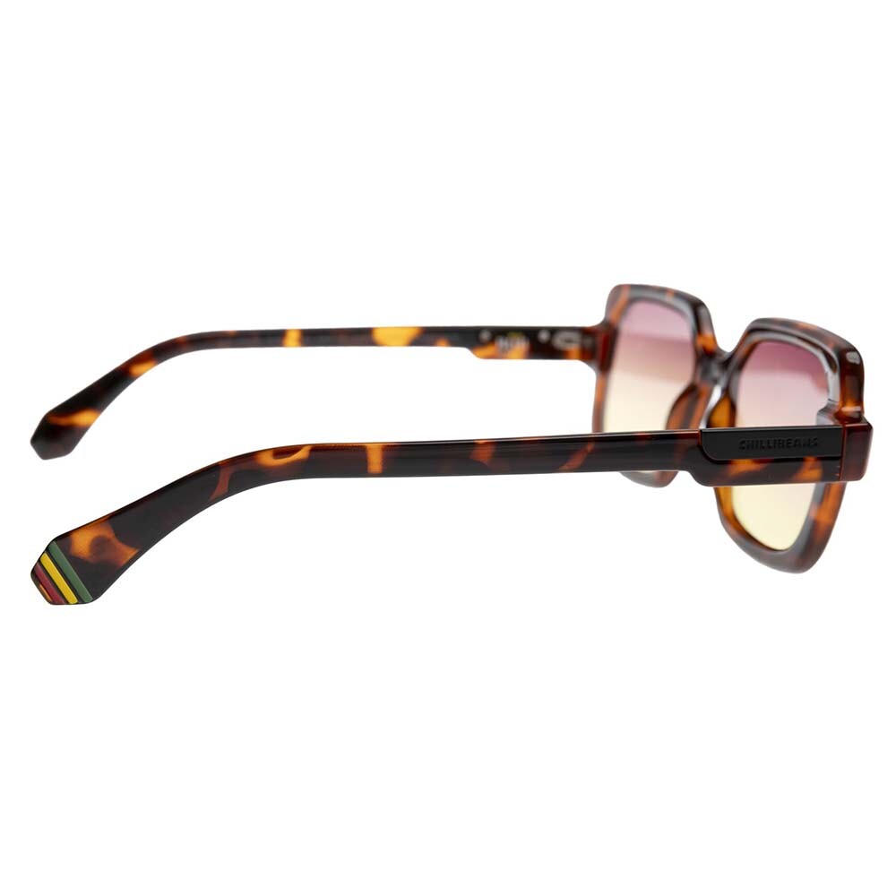 Lentes De Sol Bob Marley Accesorios - Mujer Gradiente Marrón/Tortuga