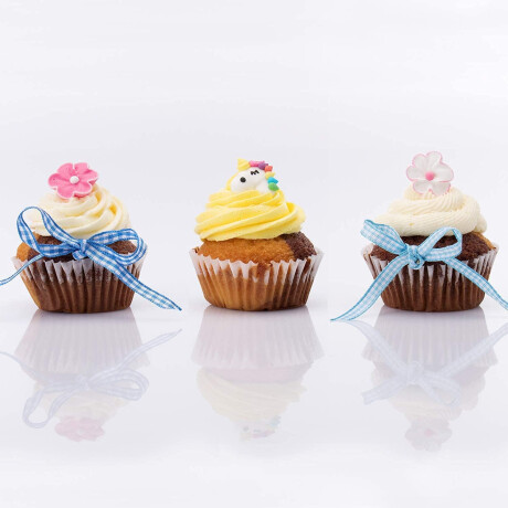 Pistola Set Manga decorativa para Galletas Repostería Salmón