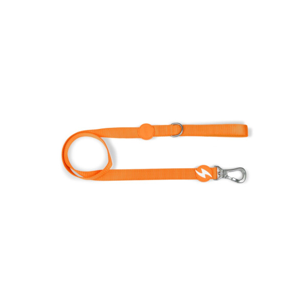 DASHI SOLID ORANGE LEASH SMALL DASHI SOLID ORANGE LEASH SMALL