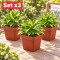 Set x3 Maceta cuadrada 1,9 lts TERRACOTA