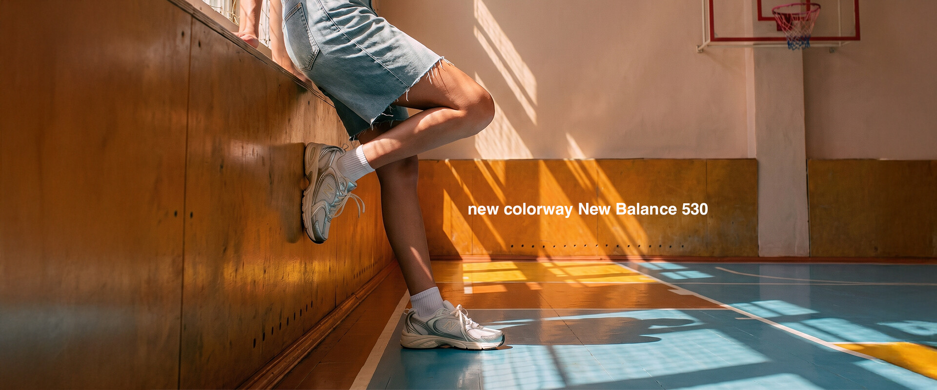 HomeSlider New In NB530